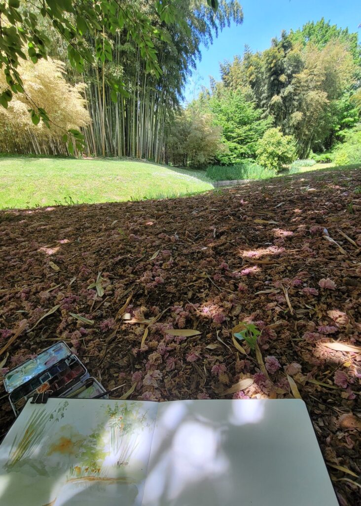 sketching Bambouseraie des Cévennes