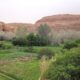 Maroc gorges Dadès