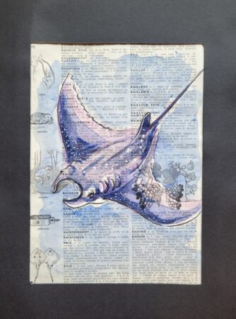 dictionnaire illustré raie