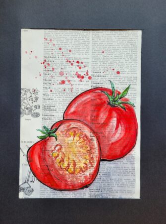 dictionnaire illustré