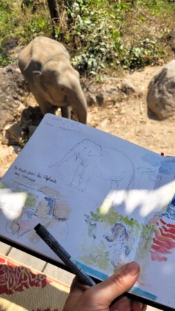 elephants at home